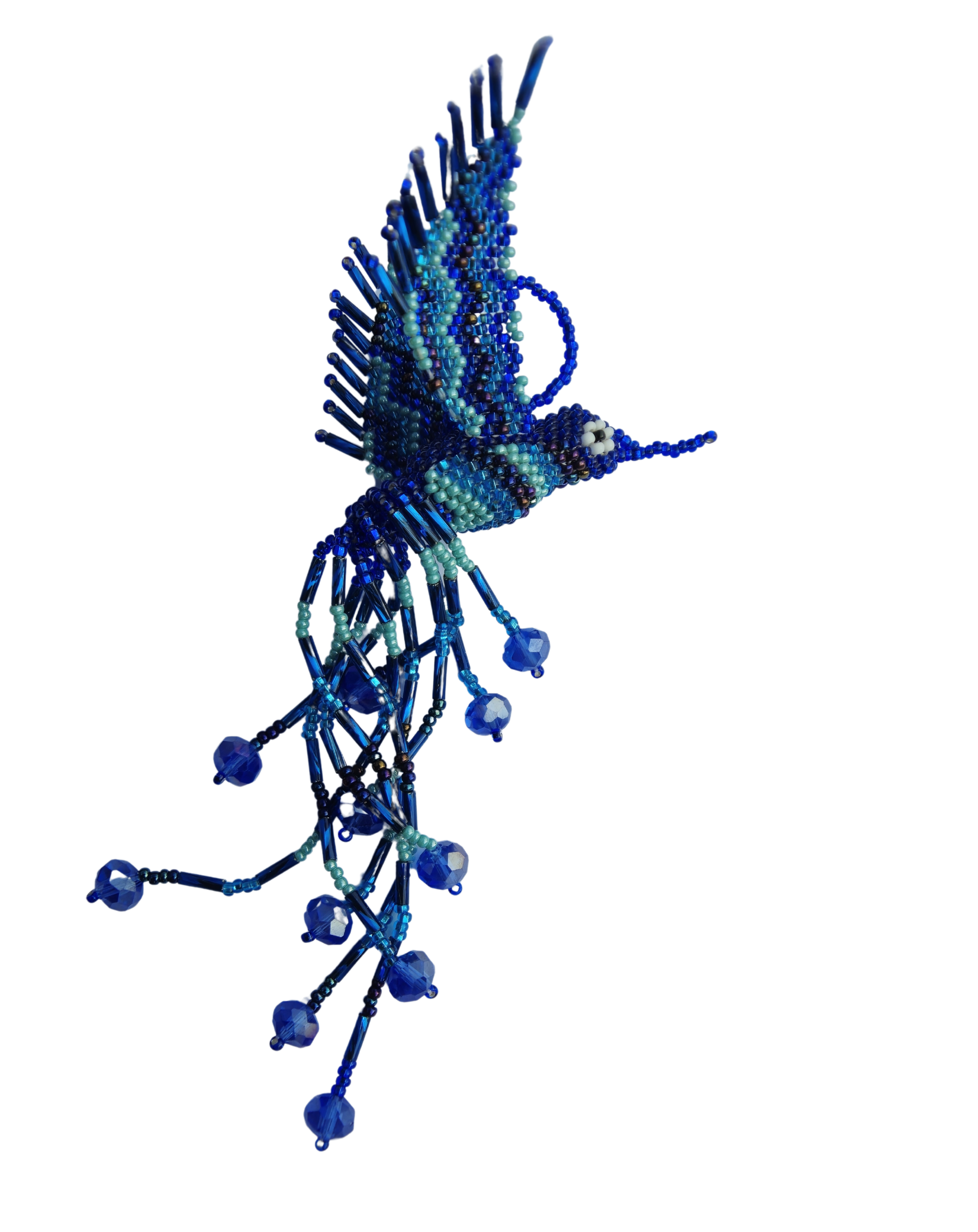 Hummingbird Collection