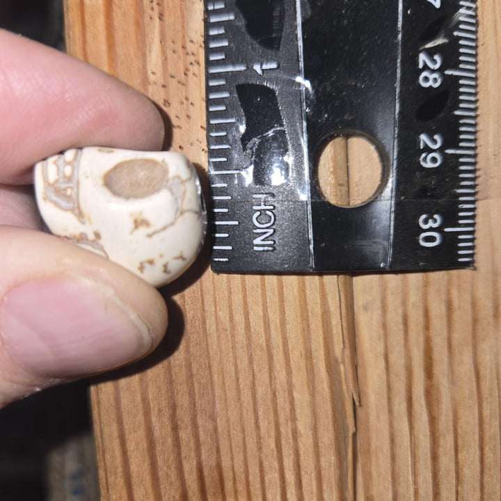 White howlite-style skull bead by ruler showing drilled hole, dyed magnesite beads, bulk skull beads